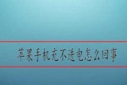 如何解决苹果手机电充不进去的问题（简单有效的方法帮你解决苹果手机充电问题）