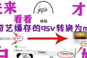 QSV文件解析（探索QSV文件的结构和功能，解析其在各个领域的应用）
