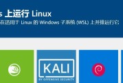 使用PE启动安装Linux系统的完整教程（通过PE工具轻松安装你的Linux系统）