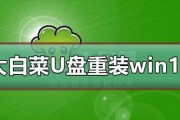 教你如何用大白菜装苹果系统（详细教程带你完成安装，省钱又好玩）