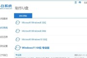 苹果U盘安装双系统教程（使用U盘在苹果电脑上安装双系统的详细步骤）