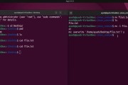 Linux入门基础教程（以分享为基础，助你轻松入门Linux操作系统）