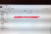 揭秘隐藏文件夹的神秘面纱（探索隐藏文件夹的技巧与窍门）