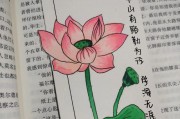 电脑制作情侣书签教程——用技术为爱情加码（简单易学的情侣书签制作方法，打造专属浪漫时刻）