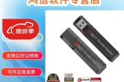 使用U盘查杀病毒的终极指南（详解如何利用U盘有效清除电脑中的恶意软件）