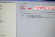 以2PE系统盘制作教程（详细指南，轻松打造个人救援工具）