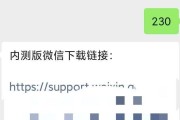 电脑微信轰炸代码源码错误的危害与防范（深入分析电脑微信轰炸代码源码错误，保护个人隐私安全）