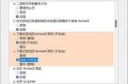 探究IE程序错误的原因及解决方法（解决IE程序错误，享受更顺畅的上网体验）