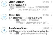 Steam安全性综述（Steam安全性评估与保障措施的全面分析）