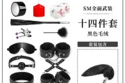 掌握SM工具的终极教程（全面了解并有效利用SM工具提升工作效率）