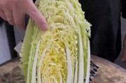 使用U盘安装大白菜系统的完整教程（一步步教你如何将大白菜系统安装到U盘中）