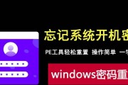 使用U盘PE装系统教程（详解U盘PE启动方法，帮你轻松装系统）